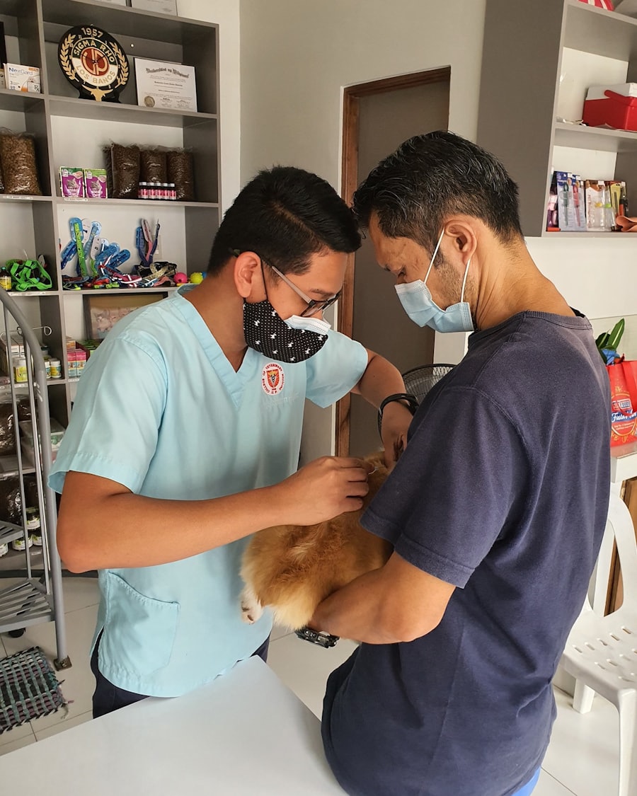 A veterinarian and a pet owner together in a bright consulting room