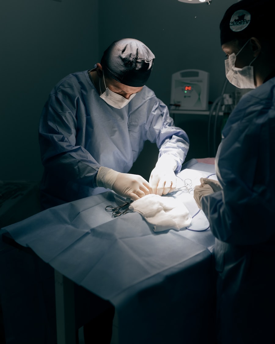 A veterinary surgical team operating under theatre lights